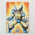 Sketch Card - Wolverine